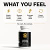Alpha System supplement bottle with a black label and gold lion logo, featuring benefits like stable energy and sharper fo...